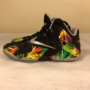 Lebron 11 Everglades